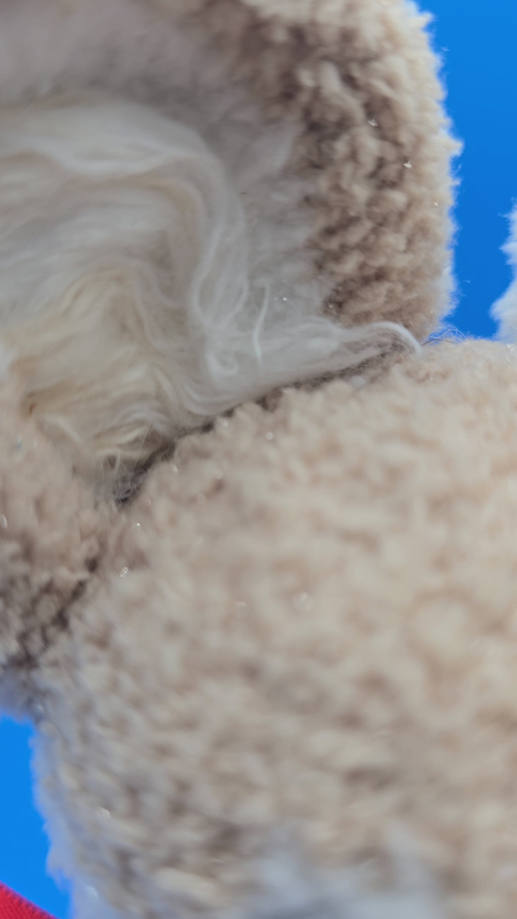 Fluffy Fennec Fox Plush 🦊✨ Handmade Crochet Plushie
